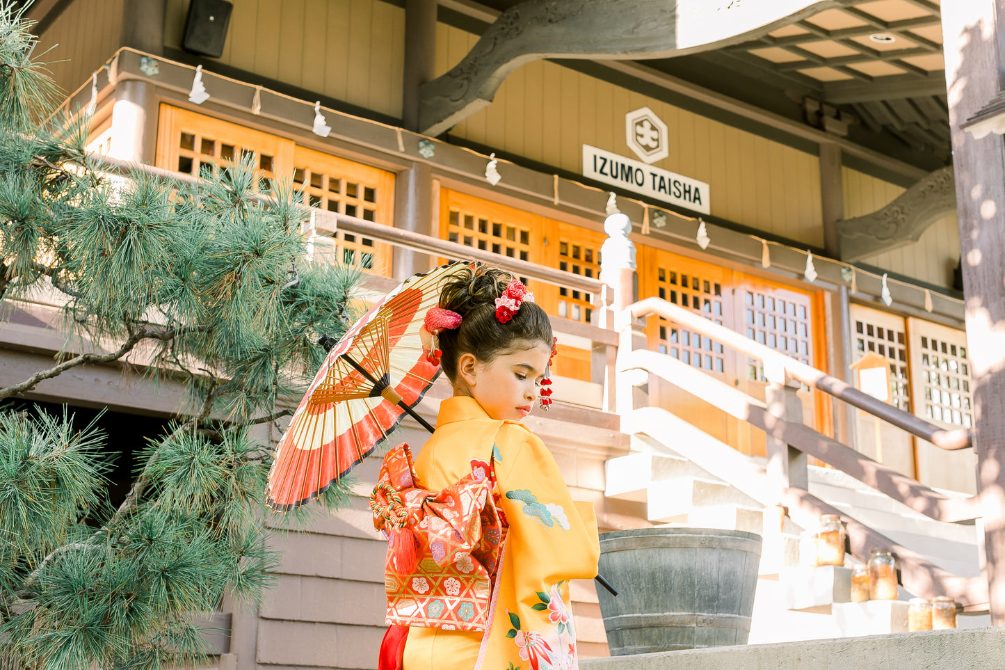 Professional Photography Celebration (Kimono) 20 data From $250
