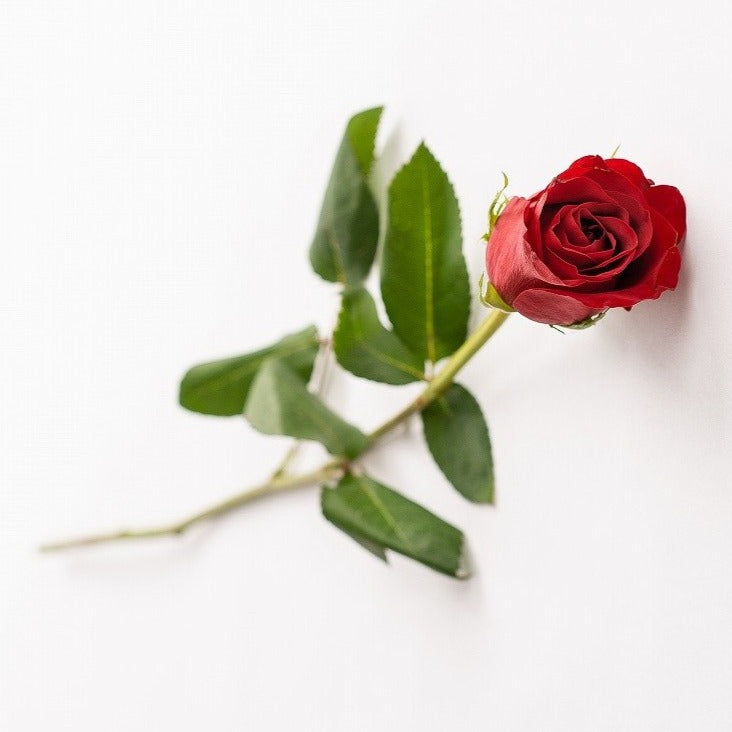 (BQ06) Rose Additional (Per Stems)