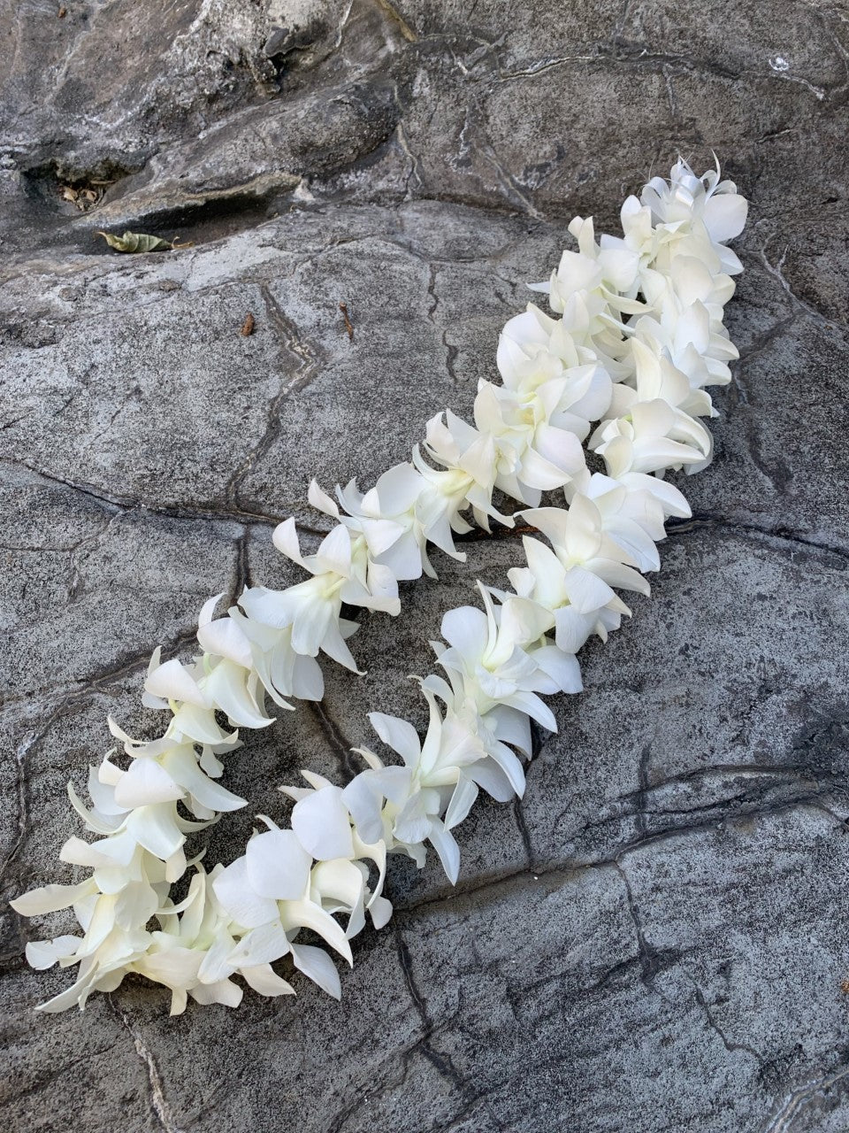 (LEI02)Orchid White Single Lie