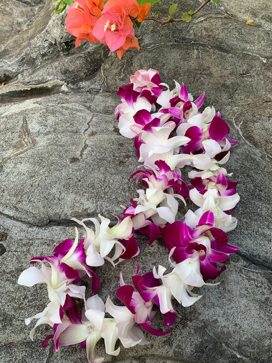 (LEI01)Orchid White and Purple Single Lie